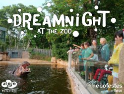 El Zoo de Barcelona celebra el Dreamnight at the Zoo y regala vasos reutilizables a las familias